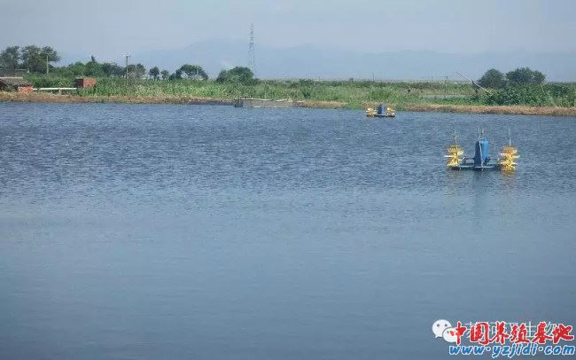 中國養殖基地 yzjidi.com