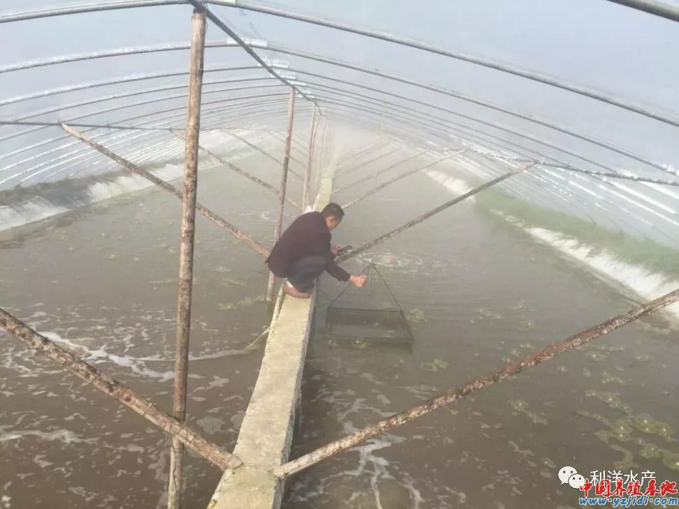 中國養殖基地 yzjidi.com