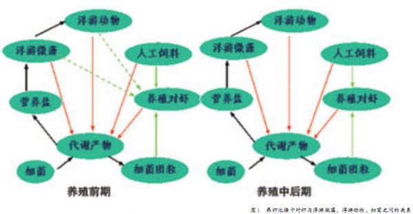 中國養殖基地 yzjidi.com