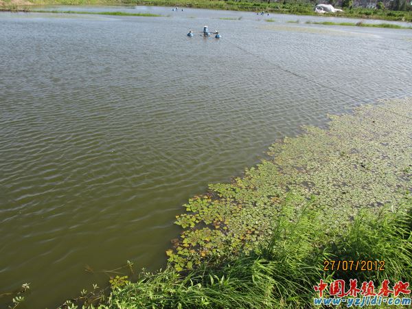 中國養殖基地 yzjidi.com