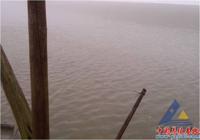 中國養殖基地 yzjidi.com
