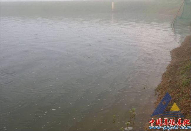 中國養殖基地 yzjidi.com