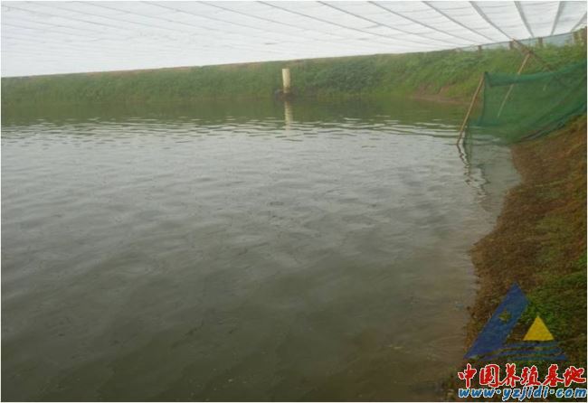 中國養殖基地 yzjidi.com