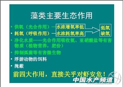 中國養殖基地 yzjidi.com