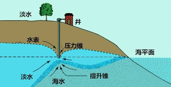 中國養殖基地 yzjidi.com