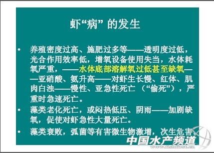 中國養殖基地 yzjidi.com