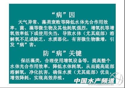 中國養殖基地 yzjidi.com