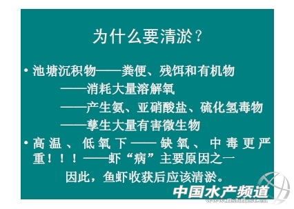 中國養殖基地 yzjidi.com