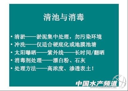 中國養殖基地 yzjidi.com