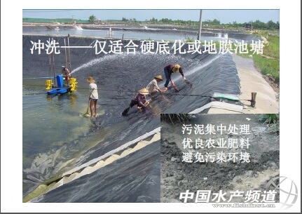 中國養殖基地 yzjidi.com