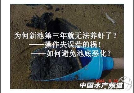 中國養殖基地 yzjidi.com