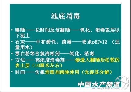 中國養殖基地 yzjidi.com