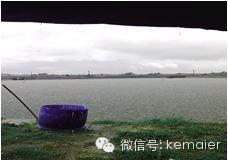 中國養殖基地 yzjidi.com