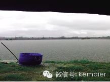 中國養殖基地 yzjidi.com