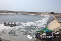 中國養殖基地 yzjidi.com