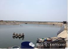 中國養殖基地 yzjidi.com