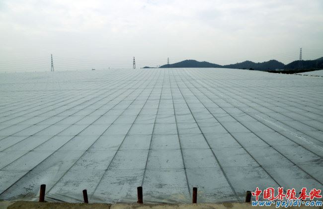 中國養殖基地 yzjidi.com