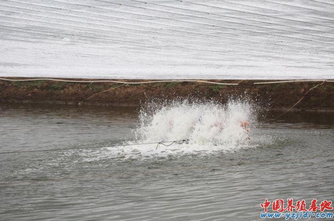 中國養殖基地 yzjidi.com