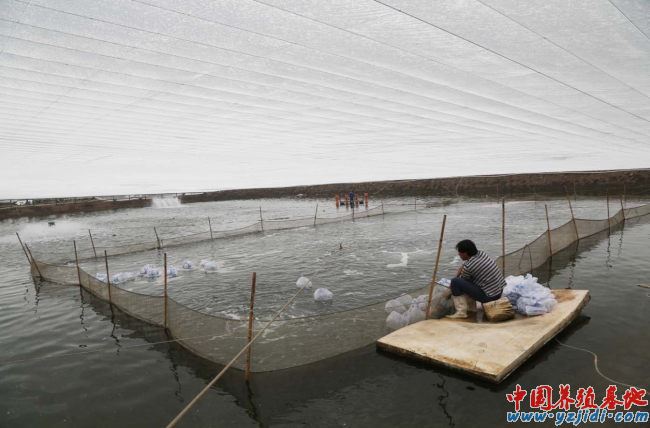 中國養殖基地 yzjidi.com