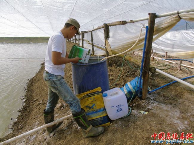 中國養殖基地 yzjidi.com