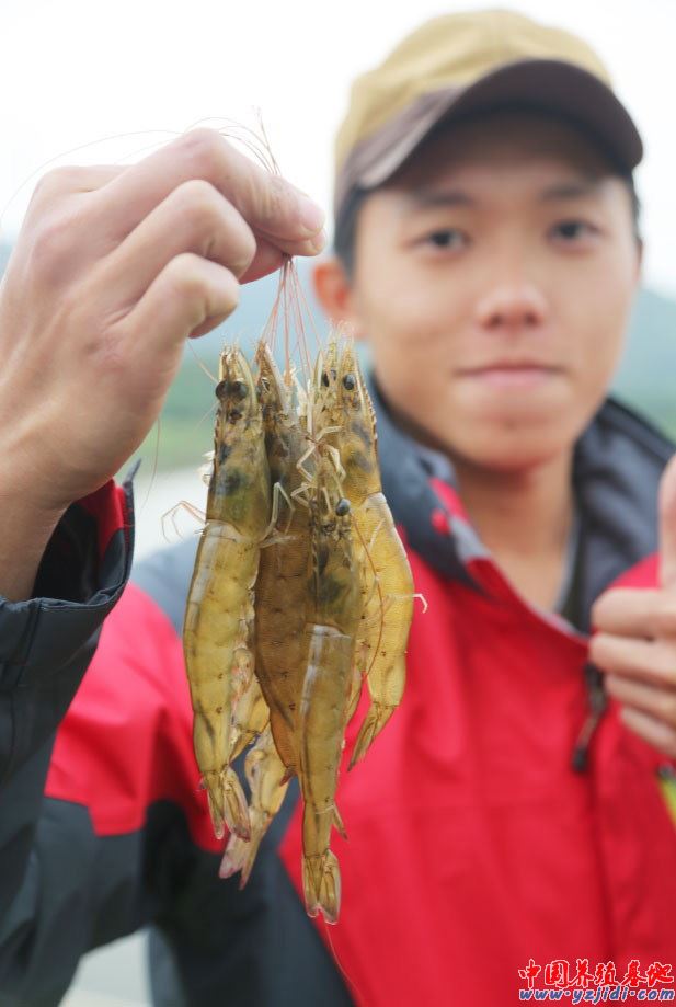 中國養殖基地 yzjidi.com