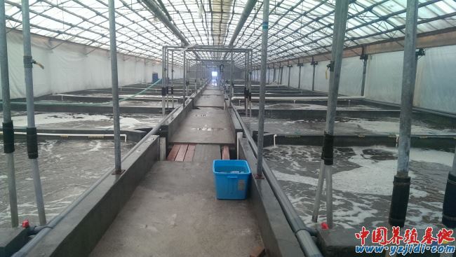 中國養殖基地 yzjidi.com