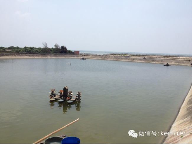 中國養殖基地 yzjidi.com