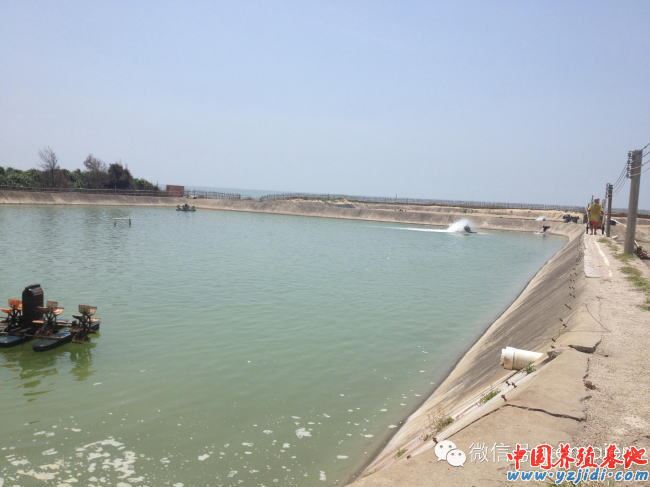 中國養殖基地 yzjidi.com
