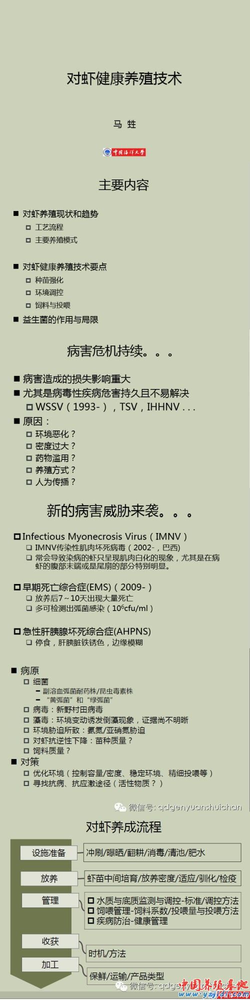 中國養殖基地 yzjidi.com