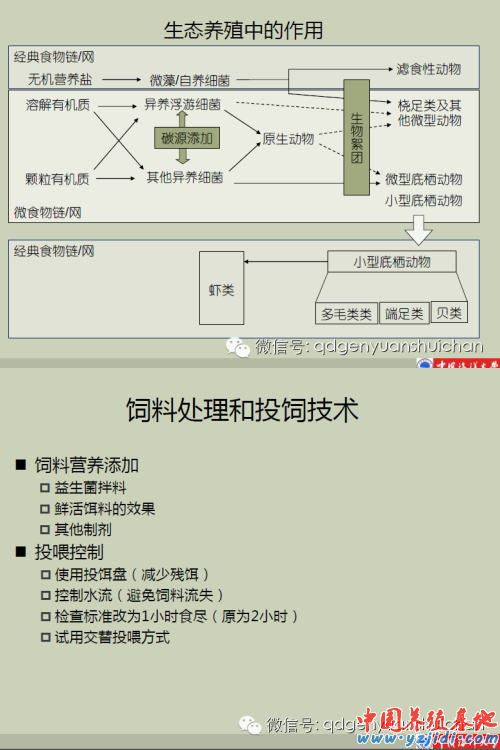 中國養殖基地 yzjidi.com