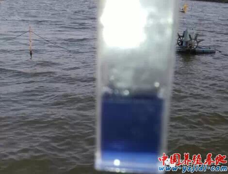 中國養殖基地 yzjidi.com