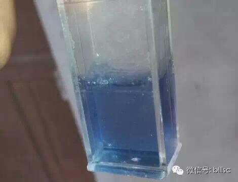中國養殖基地 yzjidi.com