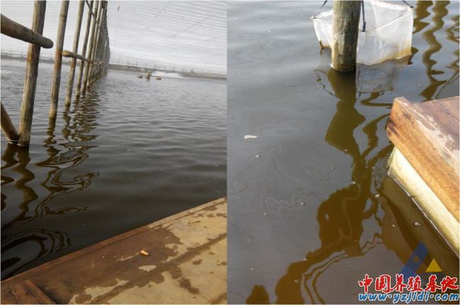 中國養殖基地 yzjidi.com