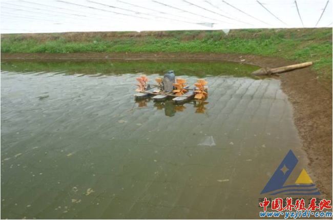 中國養殖基地 yzjidi.com
