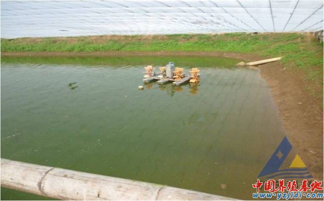 中國養殖基地 yzjidi.com