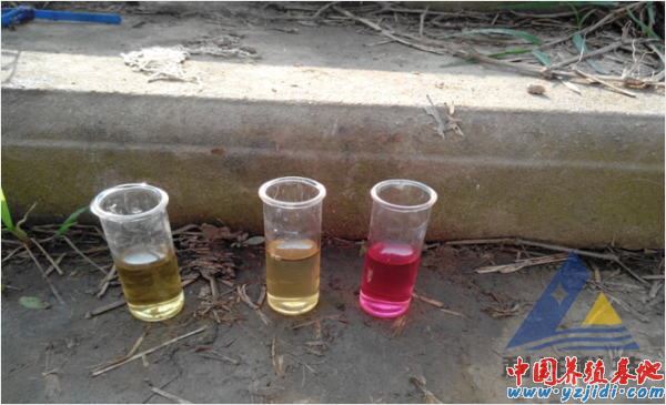 中國養殖基地 yzjidi.com