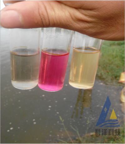中國養殖基地 yzjidi.com