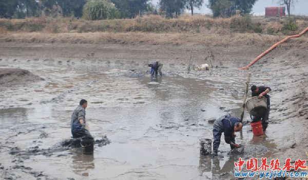 中國養殖基地 yzjidi.com