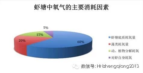 中國養殖基地 yzjidi.com