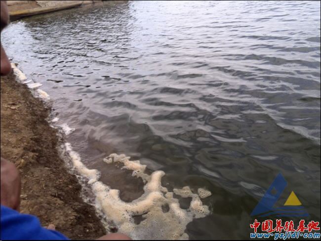中國養殖基地 yzjidi.com
