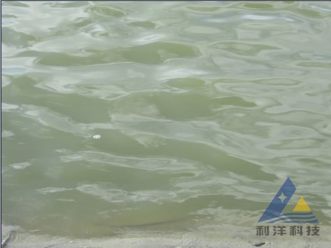 中國養殖基地 yzjidi.com