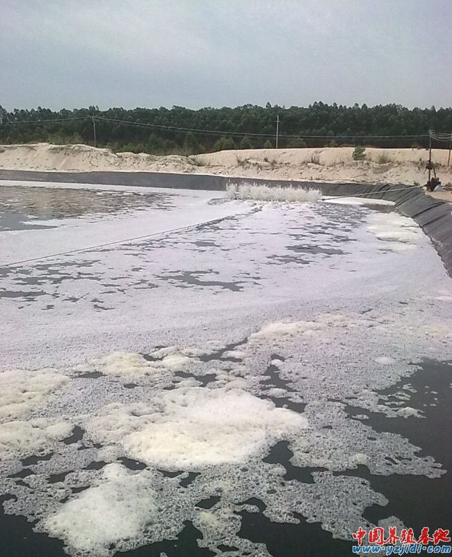 中國養殖基地 yzjidi.com