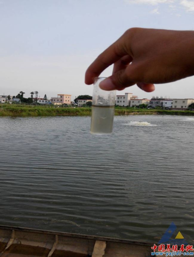 中國養殖基地 yzjidi.com