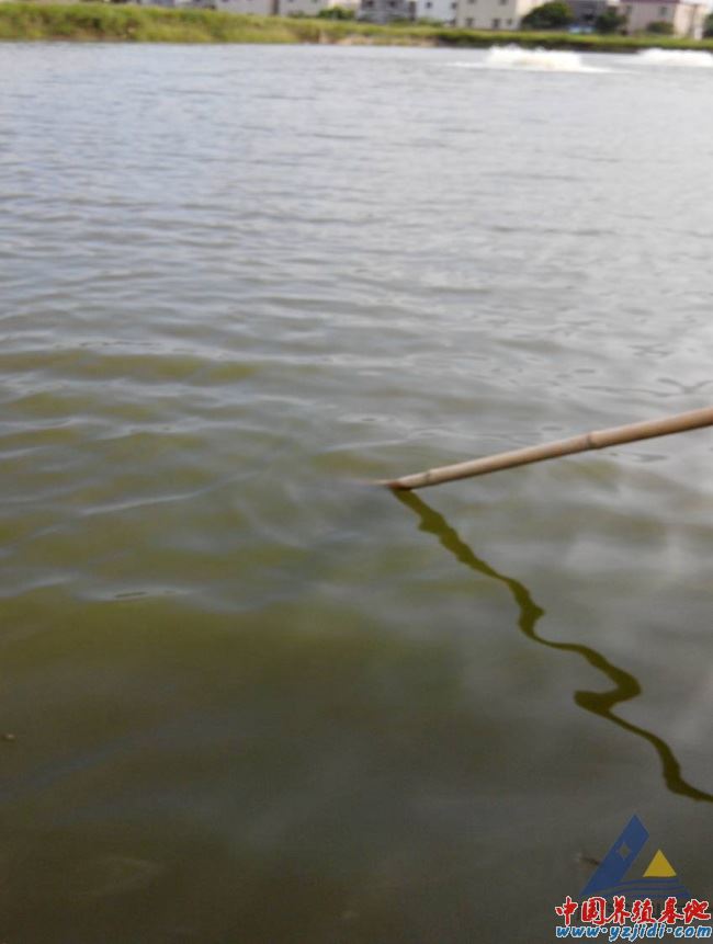 中國養殖基地 yzjidi.com