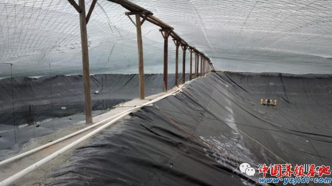 中國養殖基地 yzjidi.com