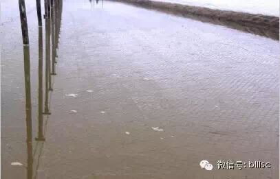 中國養殖基地 yzjidi.com
