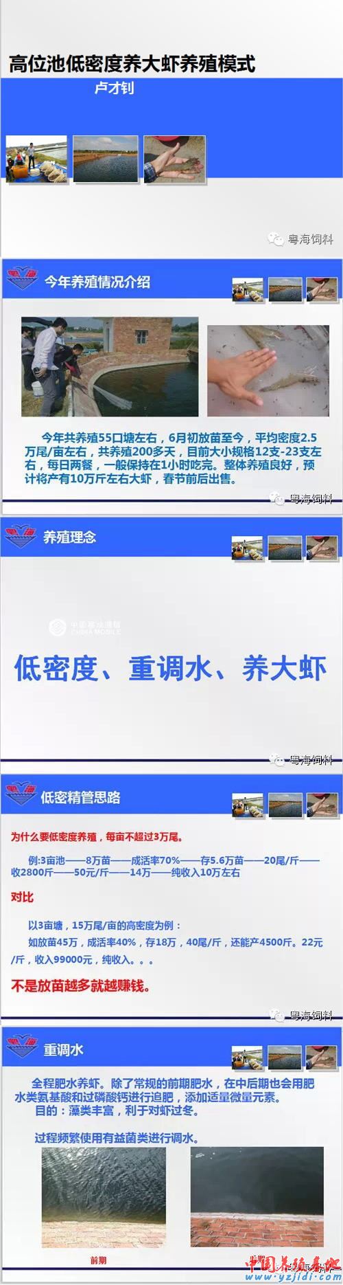 中國養殖基地 yzjidi.com