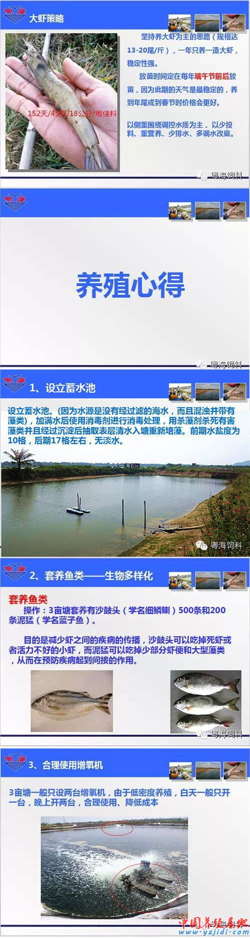中國養殖基地 yzjidi.com