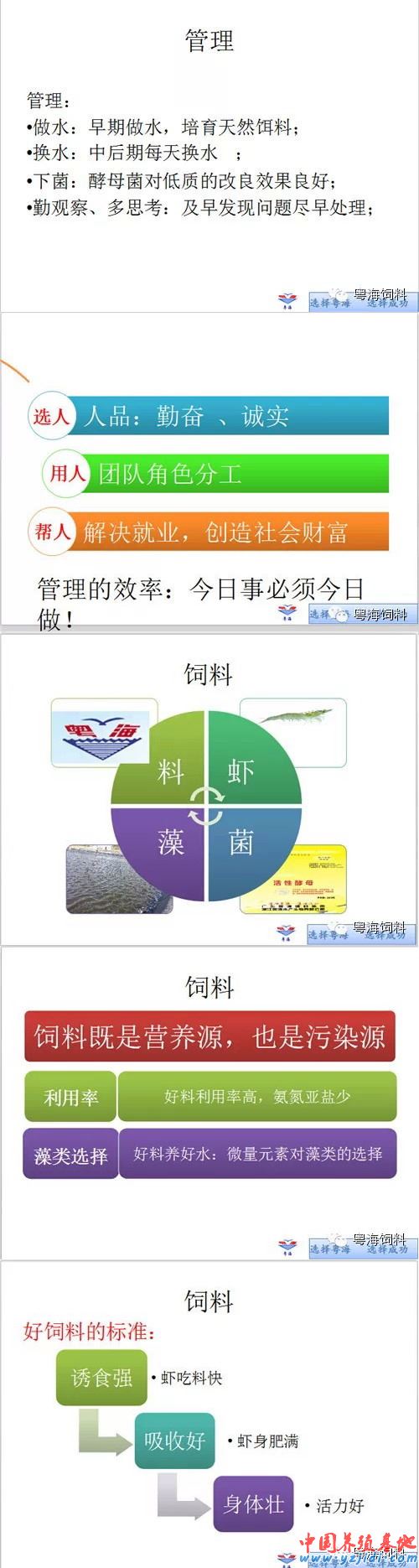 中國養殖基地 yzjidi.com