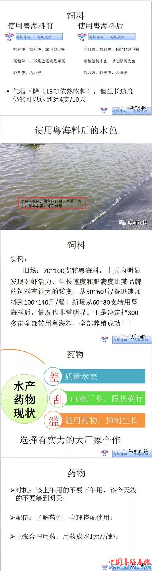中國養殖基地 yzjidi.com